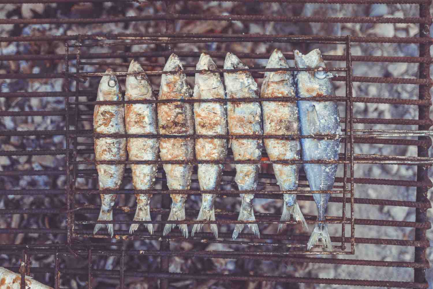 portugal road trip food sardines