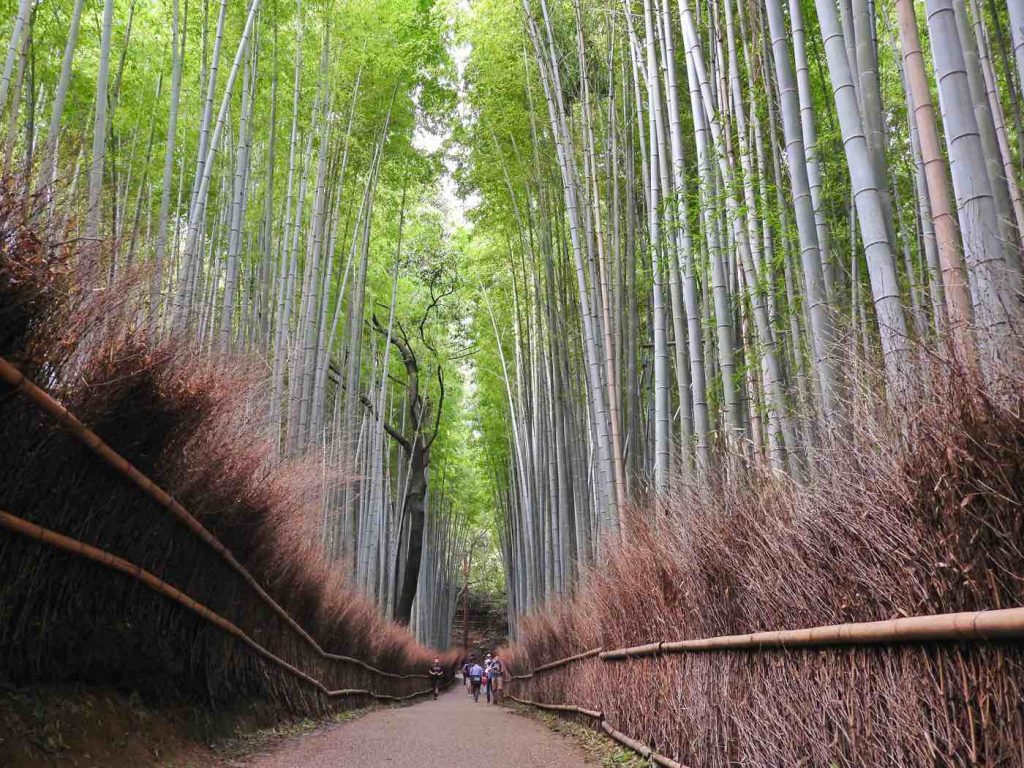 19 Unique Things to Do in Kyoto, Japan | Geeky Explorer | Insider ...